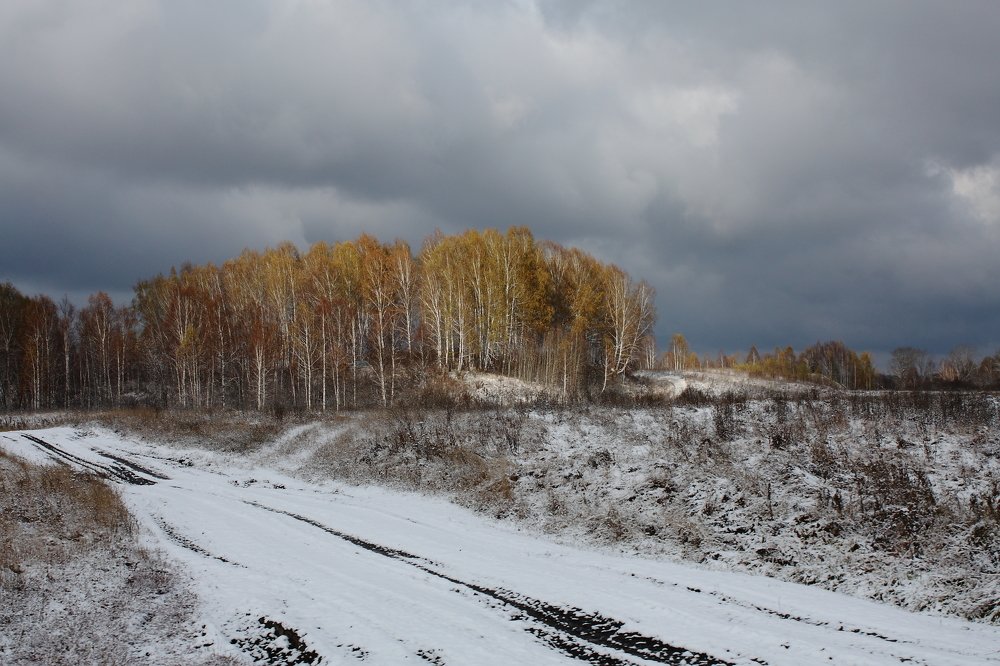 Photograph by игорь редько