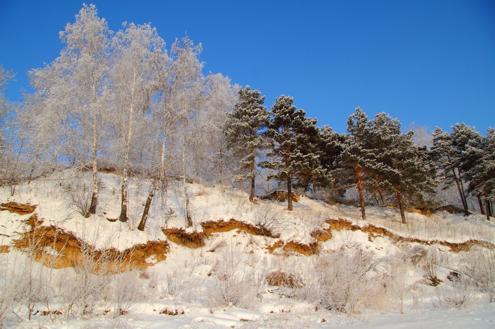 Photograph by игорь редько