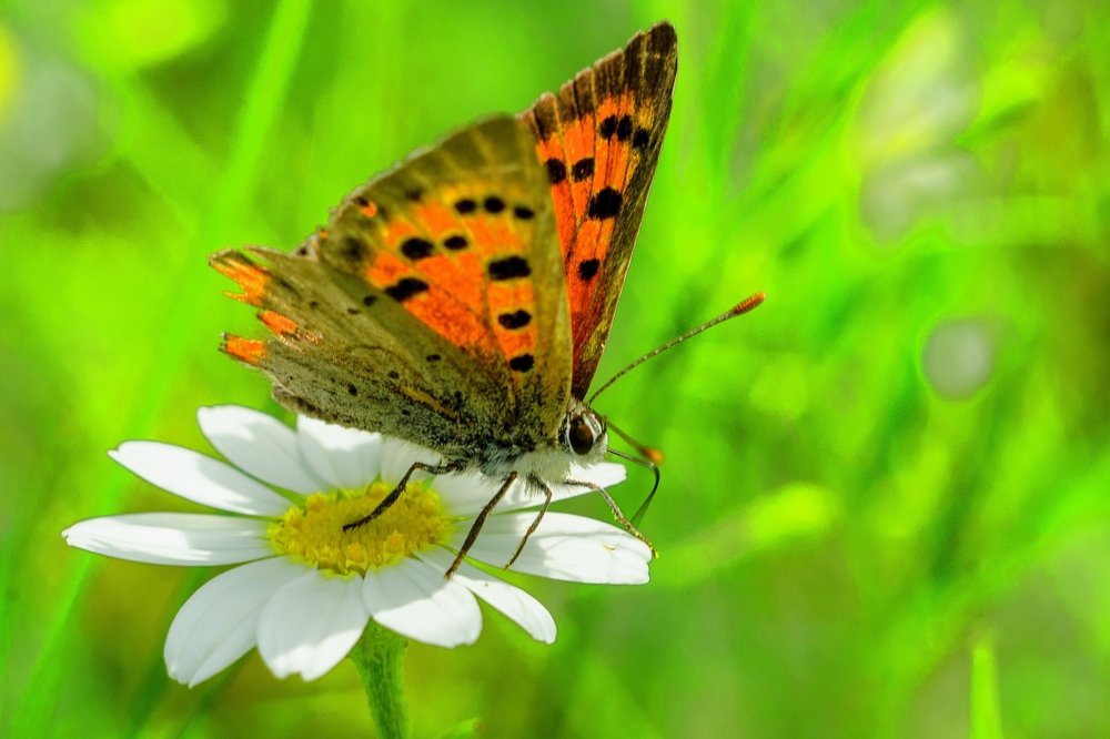 Photograph by Aleksandr Dyakov