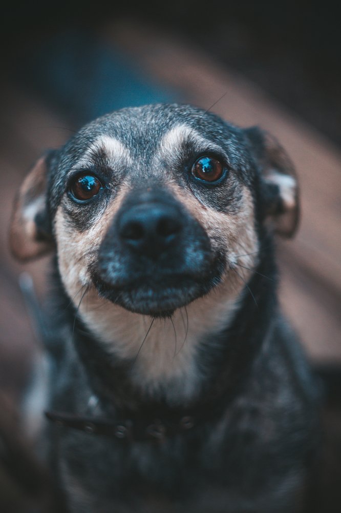 Photograph by Роман Дмитриев