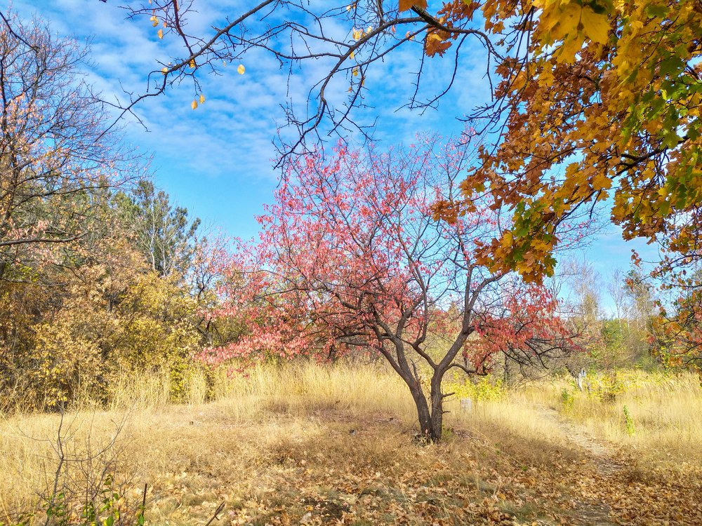 Photograph by Дина Горбачёва