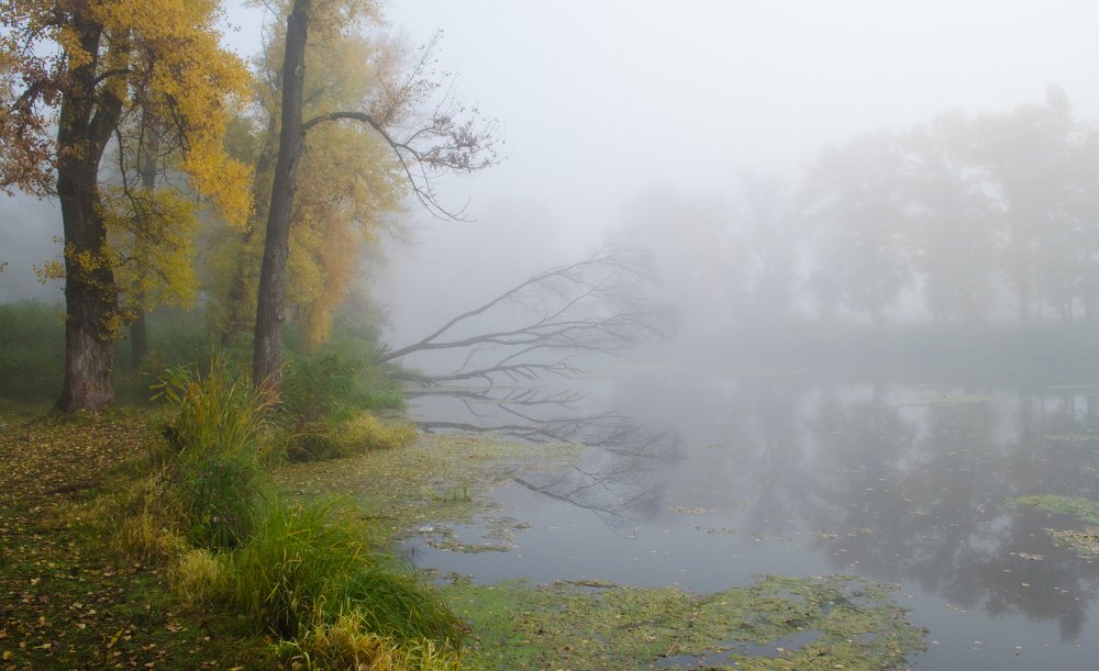 Photograph by Oleksii Konchenko