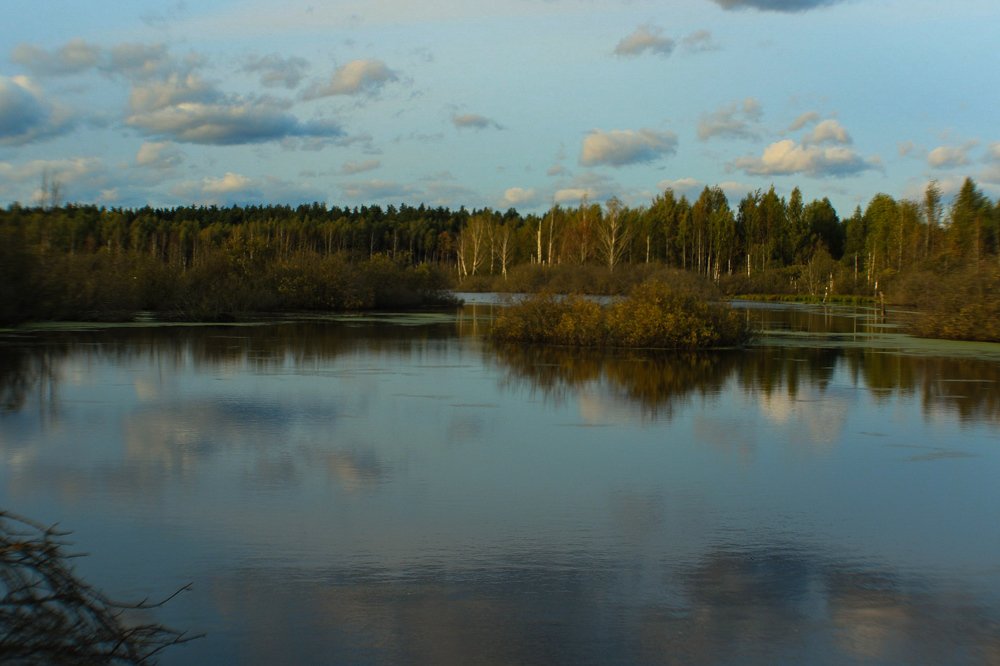 Photograph by Ремизов Владимир