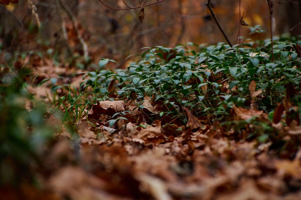 Photograph by Роман Дмитриев