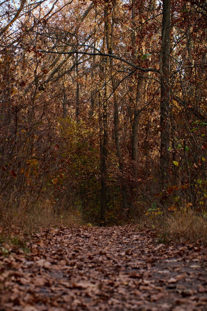 Photograph by Роман Дмитриев