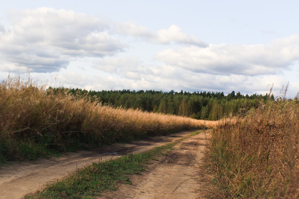 Photograph by Ремизов Владимир
