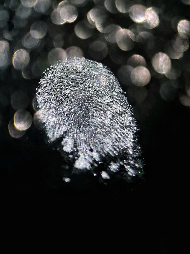 Photograph by Светлана Смирнова