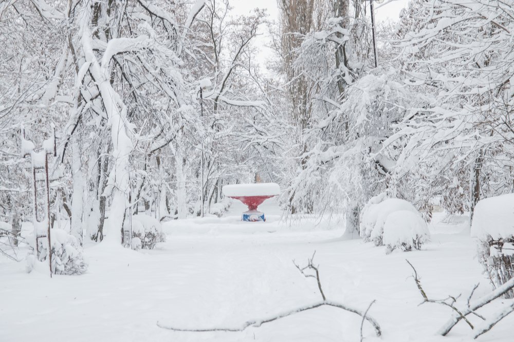 Photograph by Дина Горбачёва