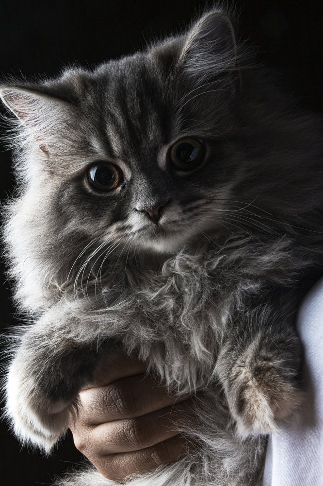 Photograph by Asmaa Buheis