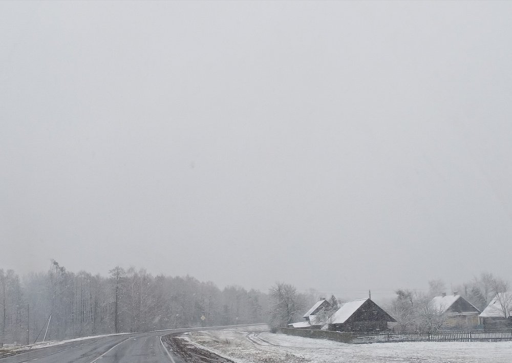 Photo #5348757