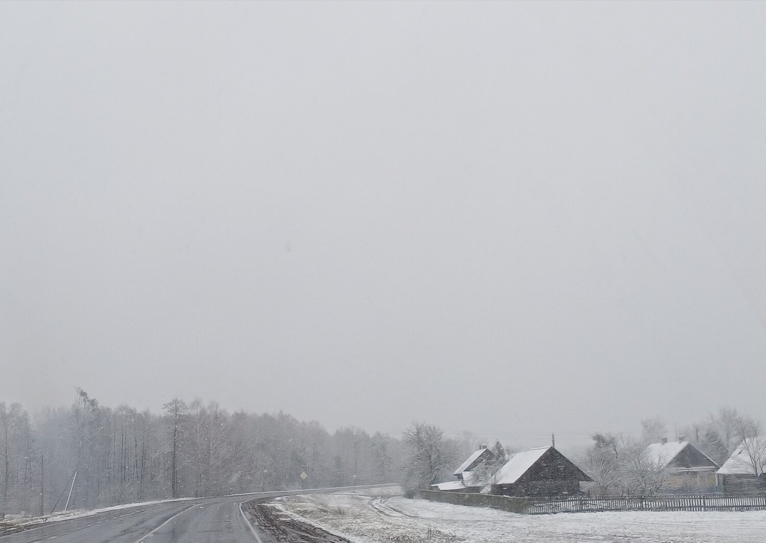 Photo #5348757