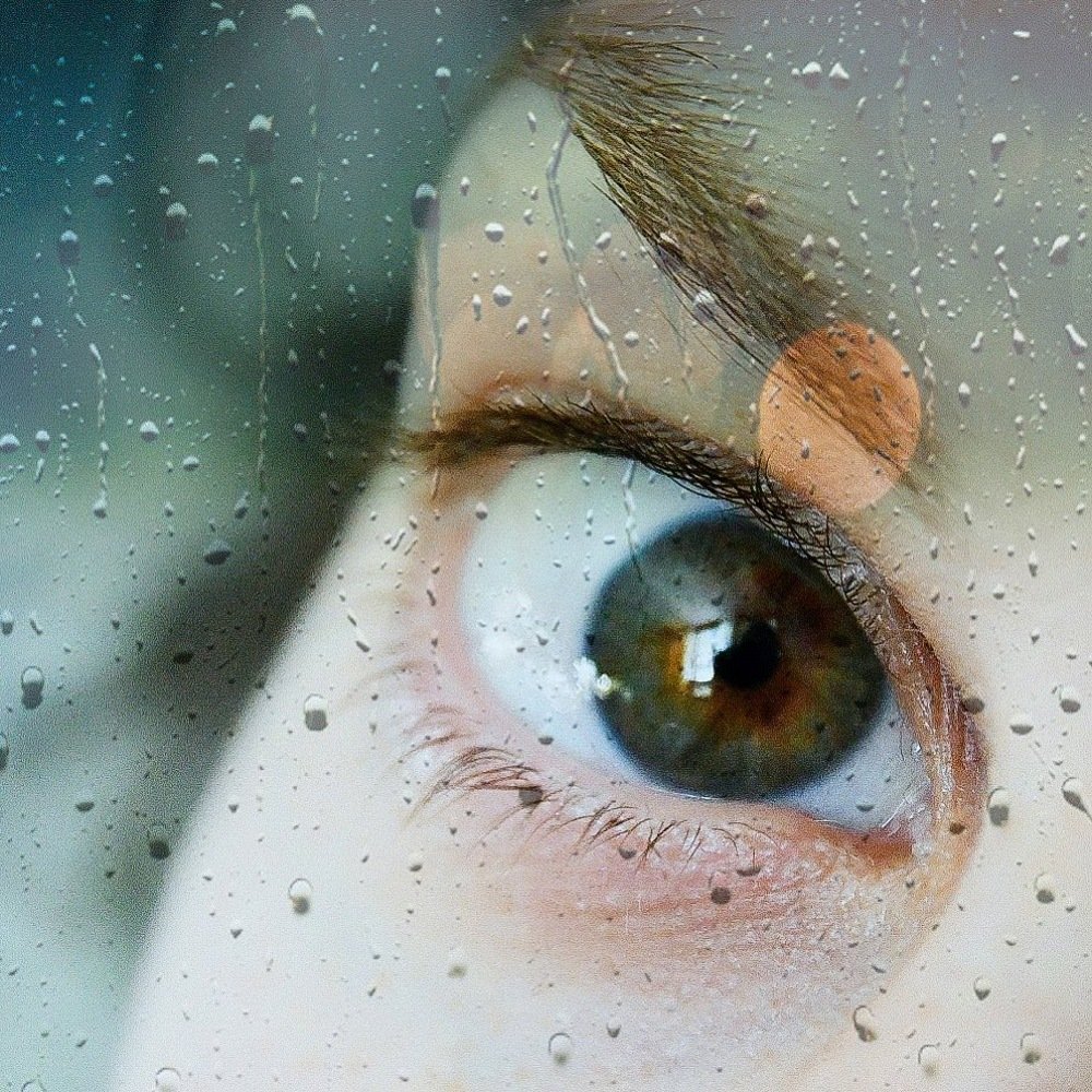 Photograph by Людмила Мамулат