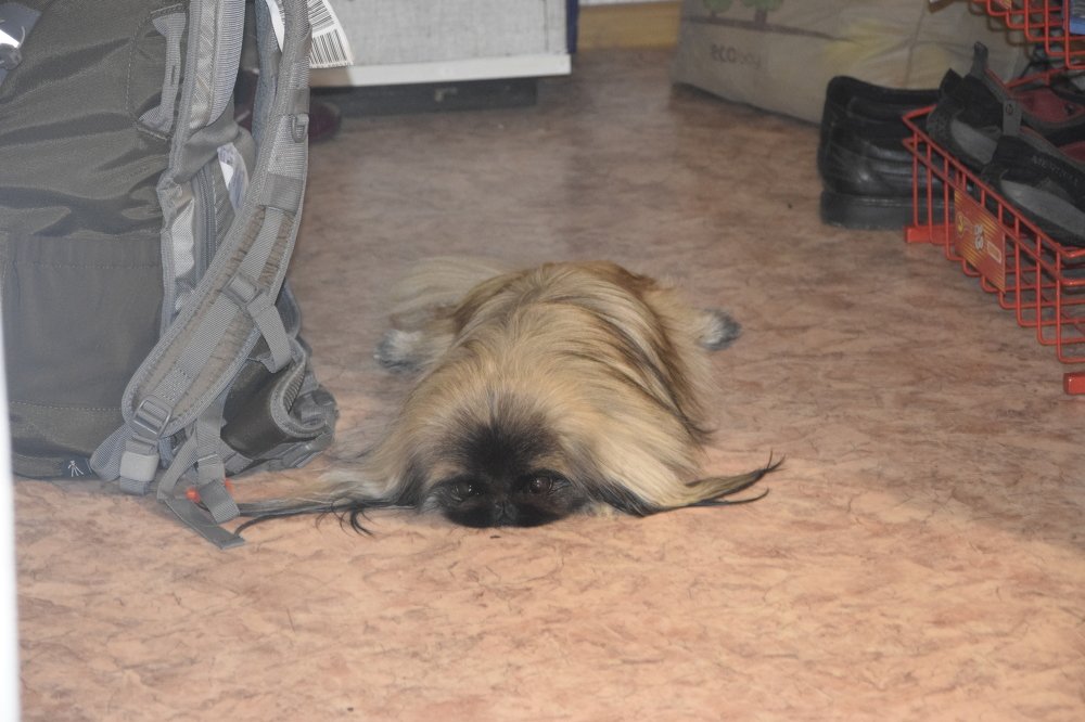 Photograph by Алексей Логинов