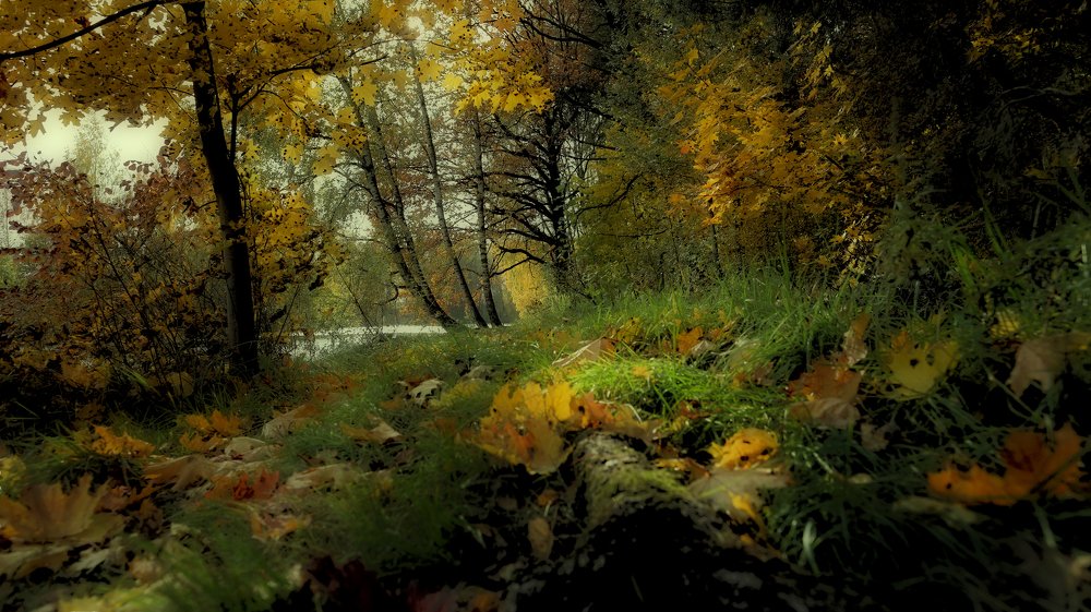 Осенний день