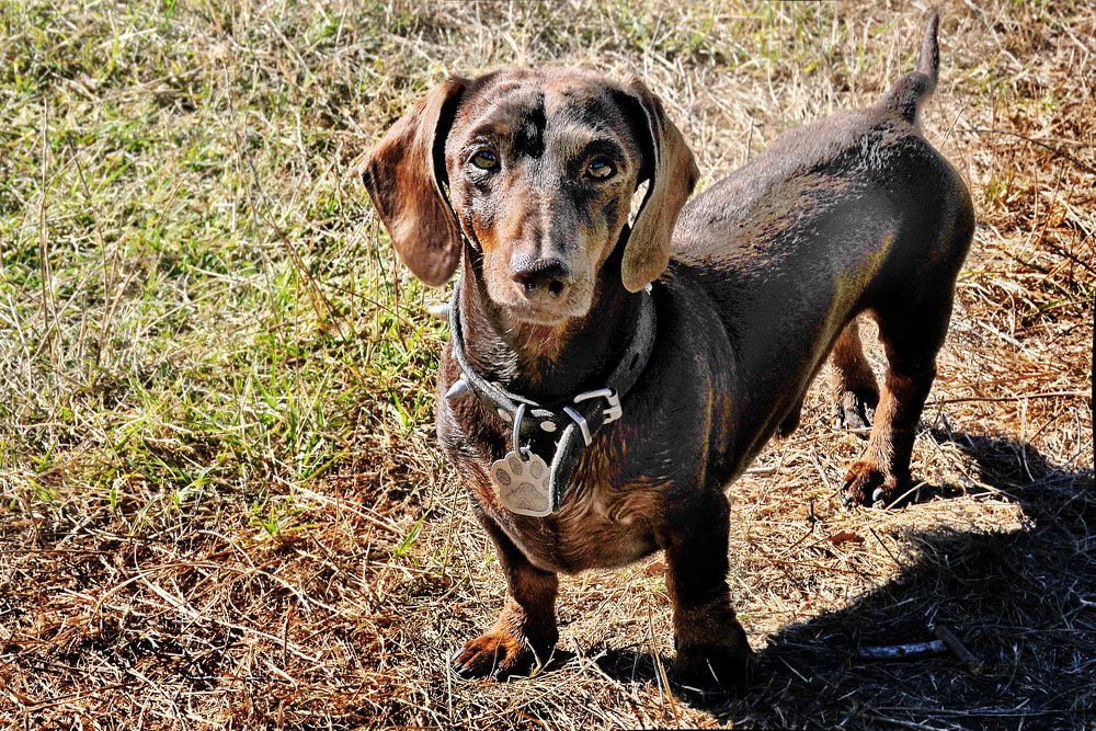 Фотография автора Анатолий Мироненко