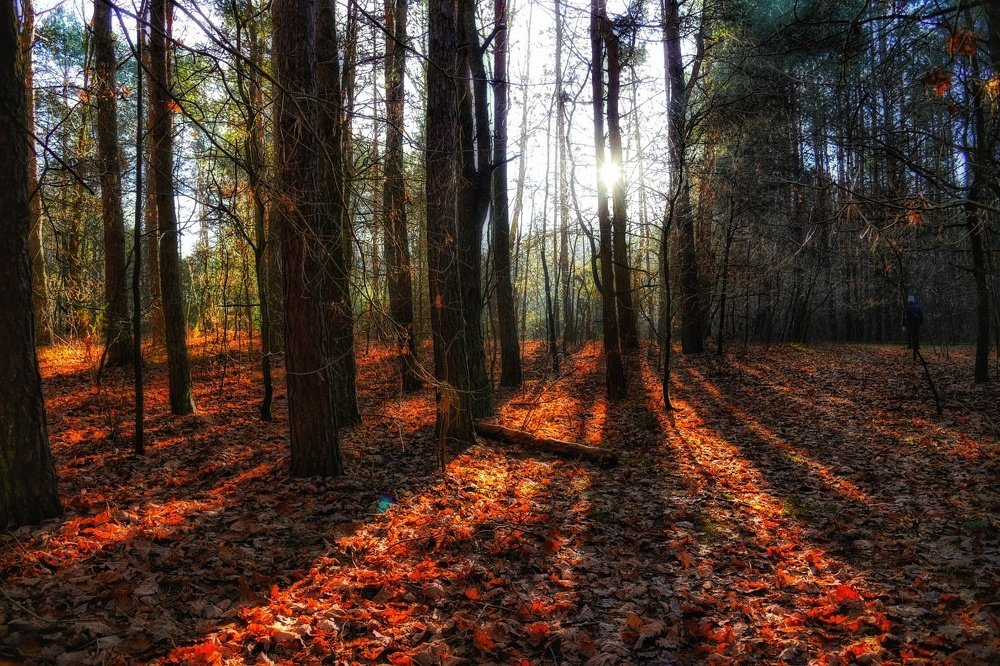 Фотография автора Justyna Jeżak