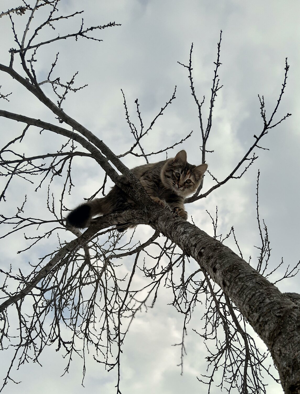 Photo #5348826