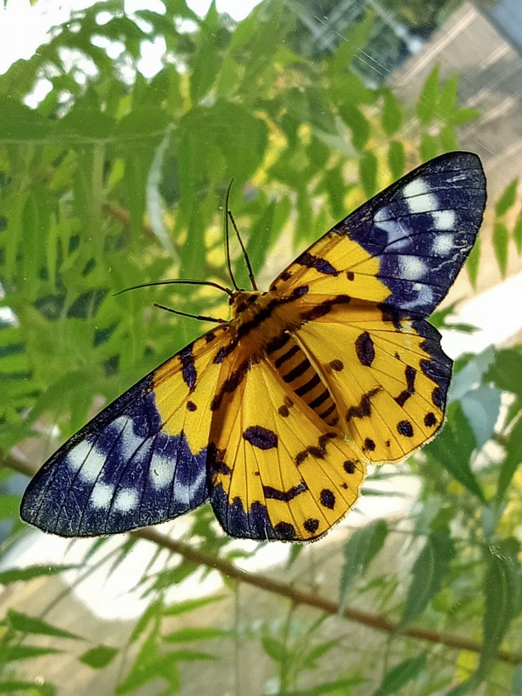 Photograph by Sangib Kumar Barman