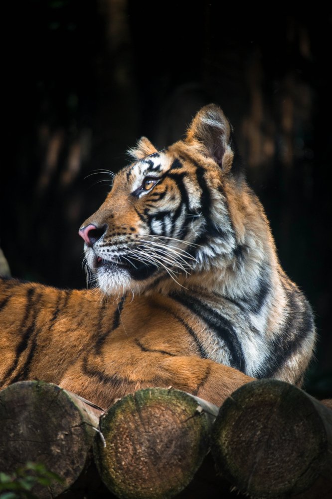 Photograph by Евгения Тарасова