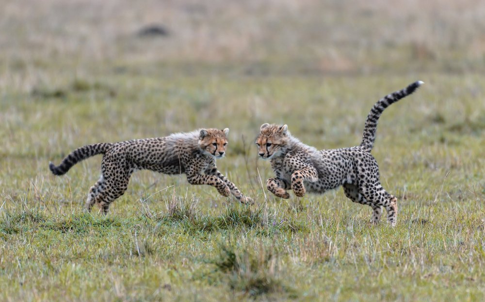 Photograph by Vignesh Ramachandran