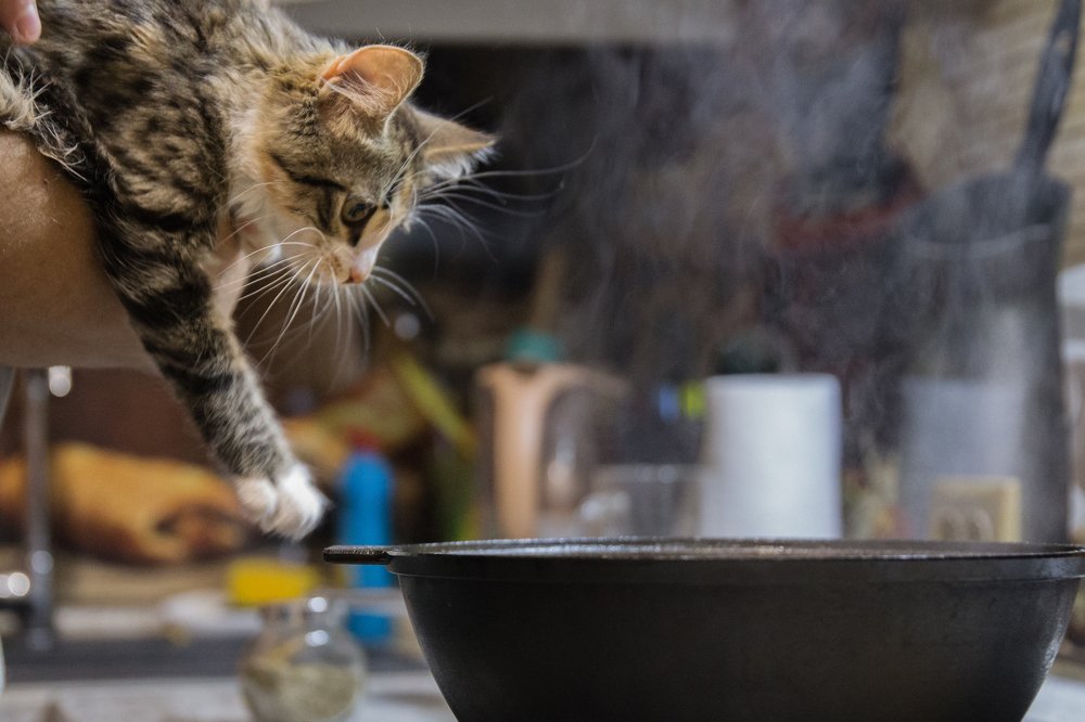 Photograph by Инна Юдина