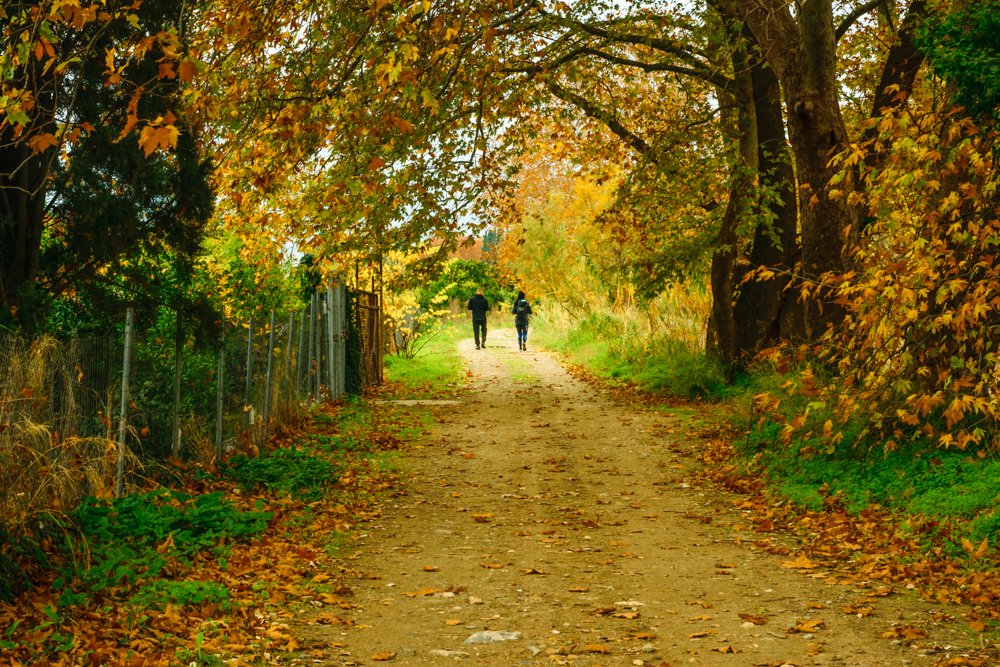 Photograph by antsoulikias