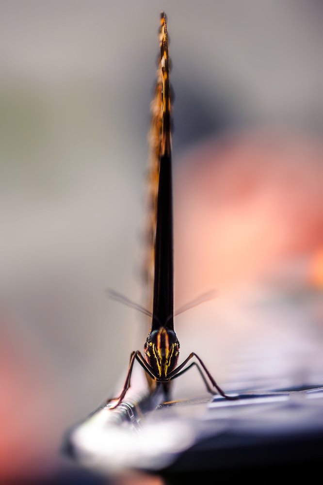 Photograph by Сергей Скоробогатов