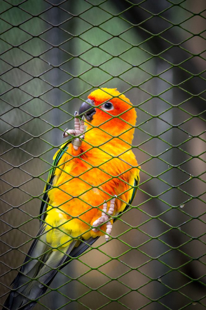 Photograph by Евгения Тарасова