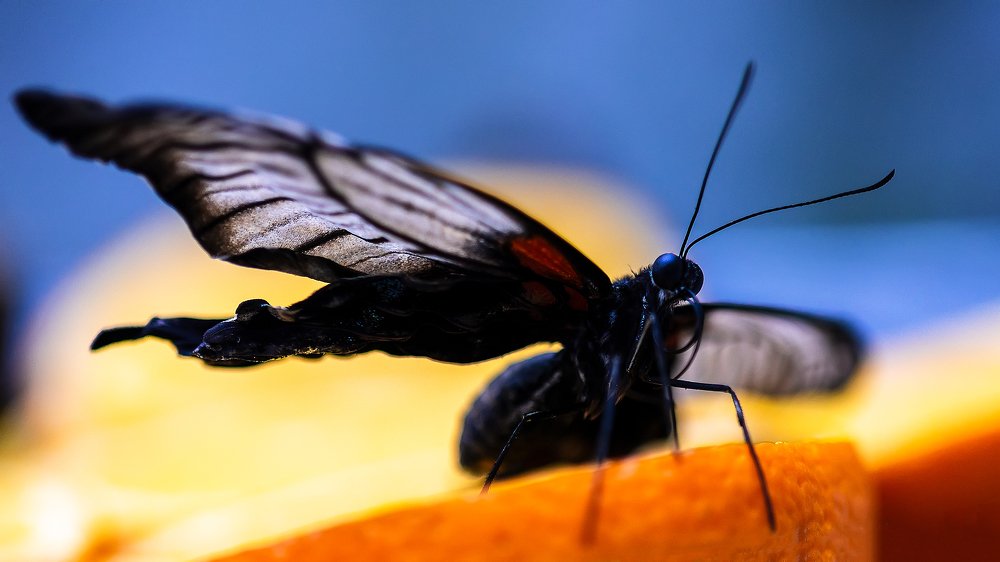 Photograph by Сергей Скоробогатов