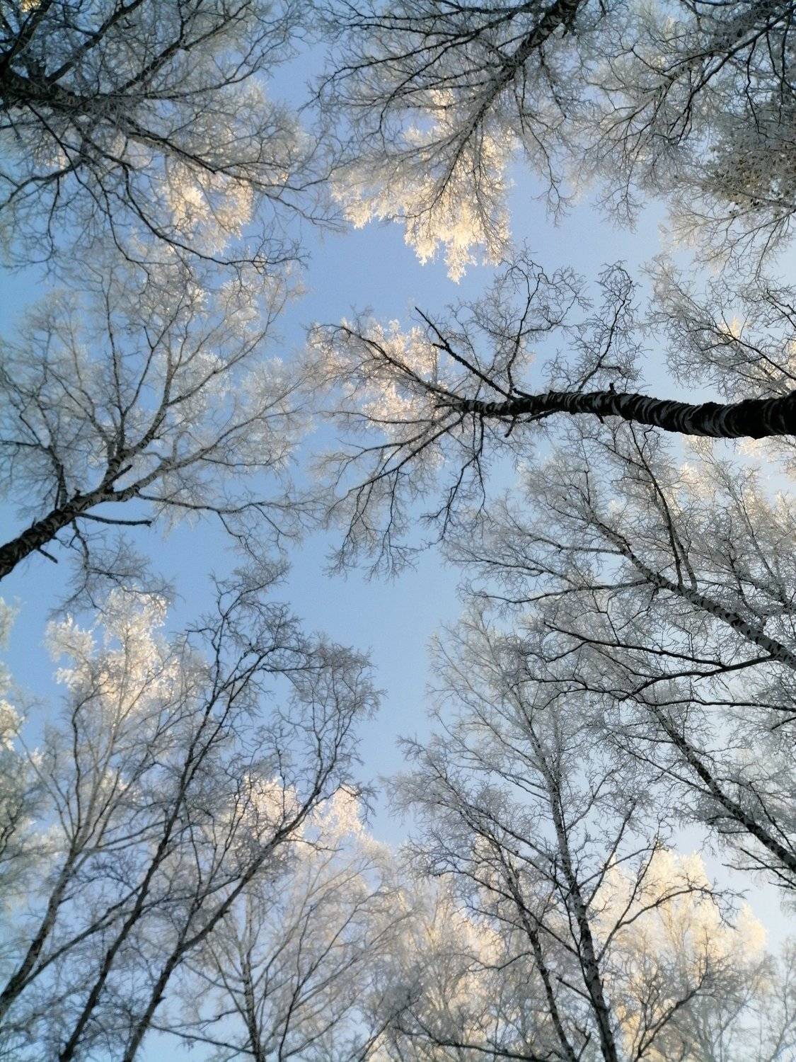 Небо декабря