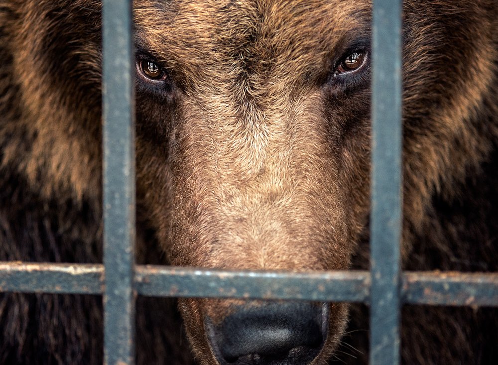 Photograph by Сергей Скоробогатов