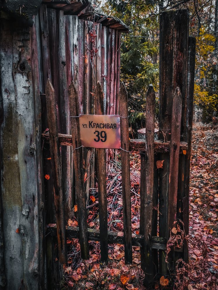 Photograph by Александр Державин