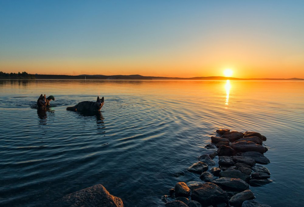 Photograph by Александр Кривошеин