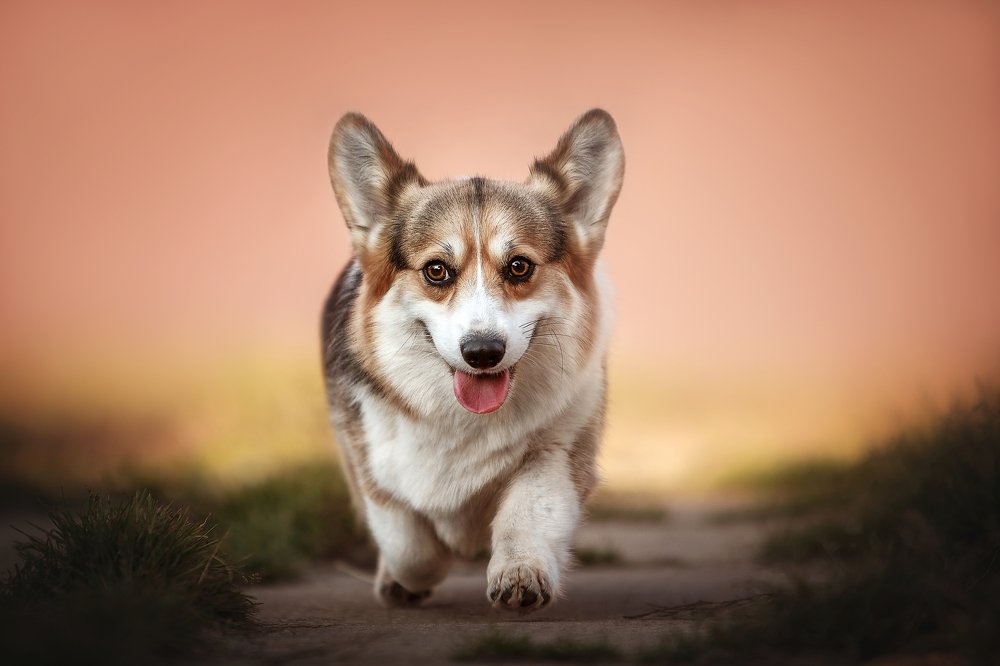 Photograph by Мария Мадзик