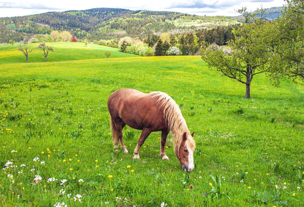 Photograph by Сергей Шишмарин