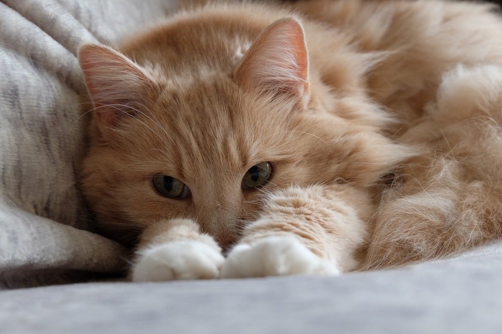 Photograph by Elizabeth Allen