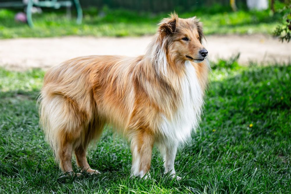 Photograph by Алексей Шматков