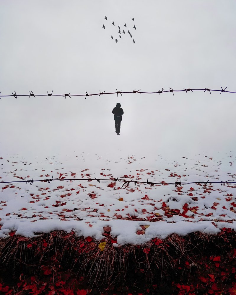 Фотография автора Alipour mohammad