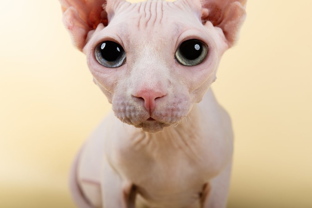 Photograph by Альбина Рычкова