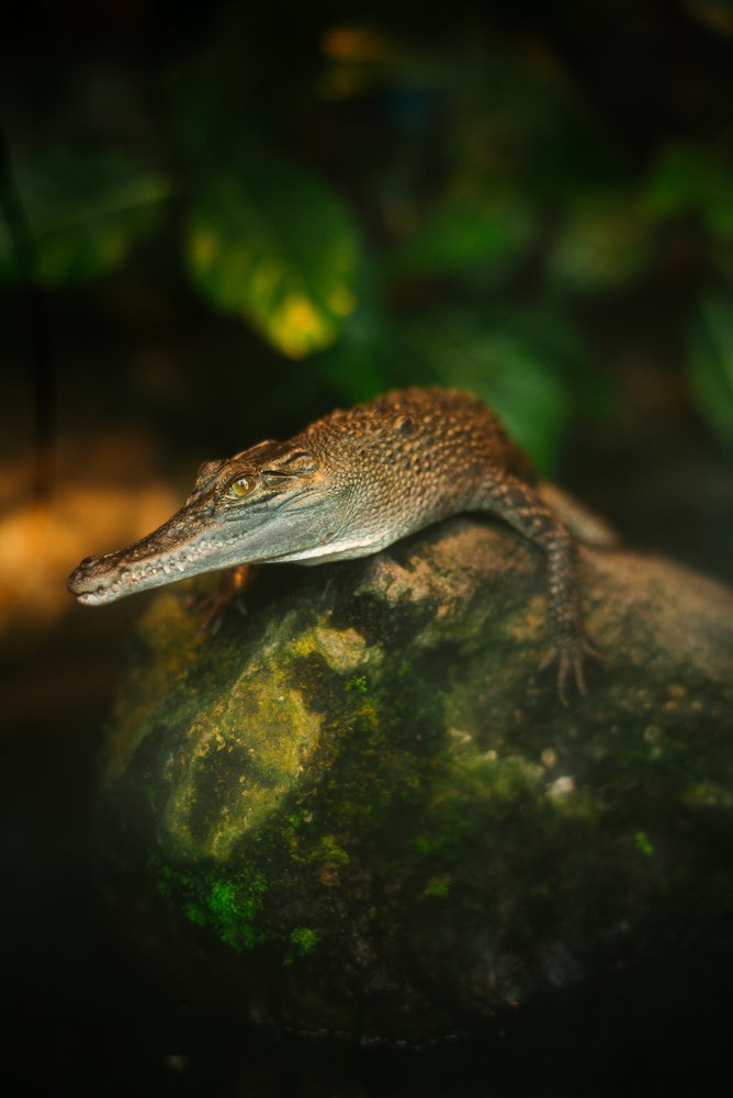 Photograph by Wira Harjanto Mishael