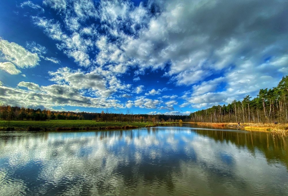 Photograph by 