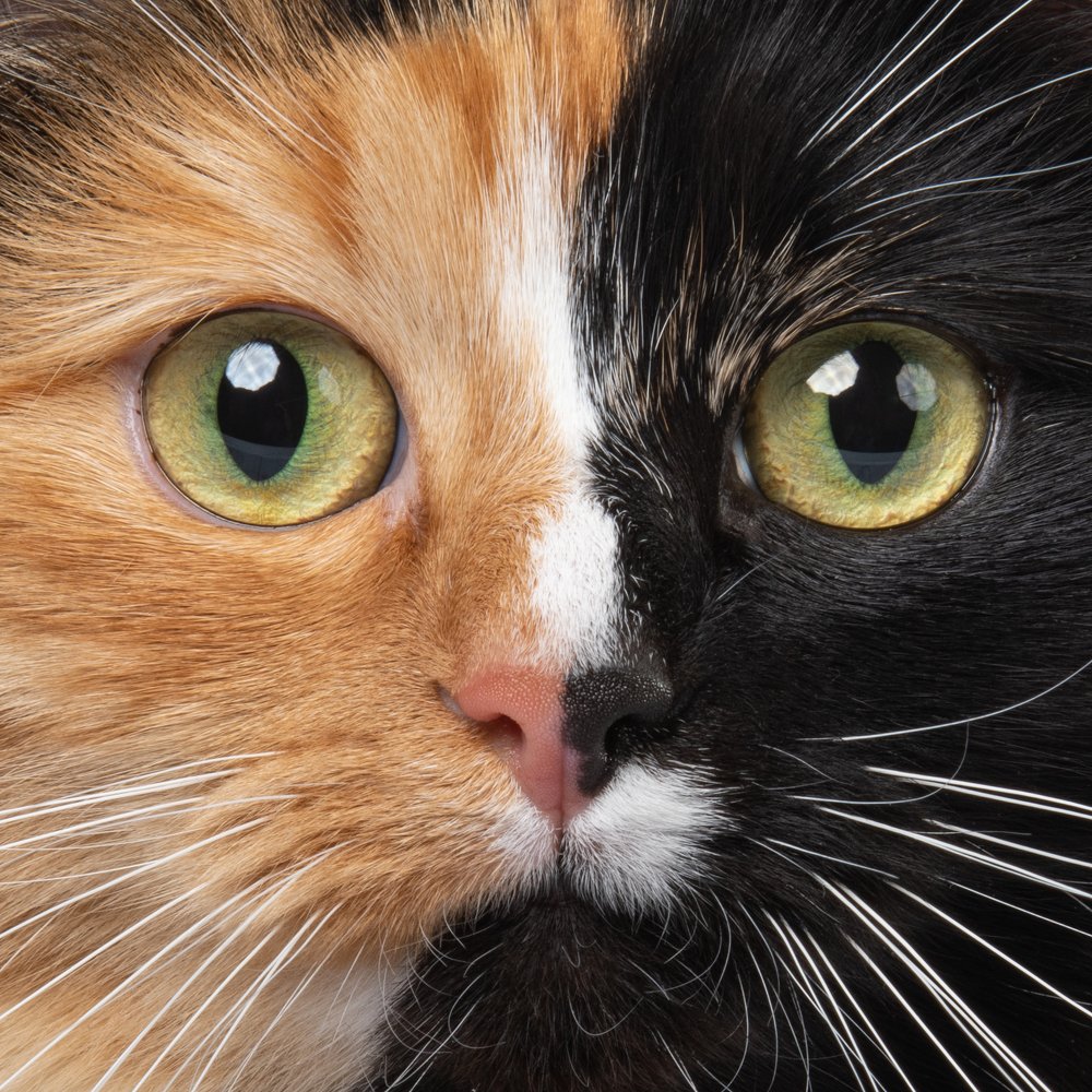 Photograph by Альбина Рычкова