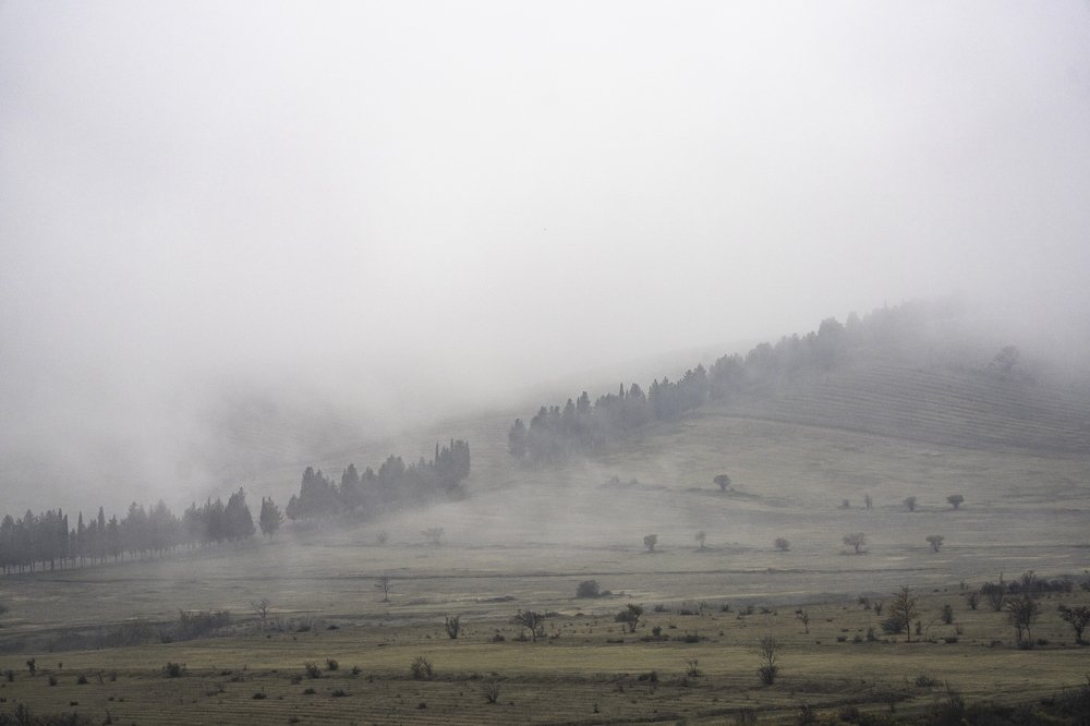 Фотография автора George Kurashvili