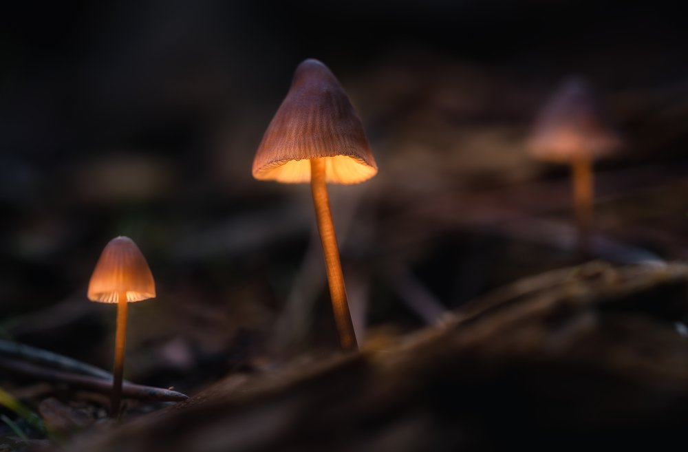 Photograph by Oscar Lata