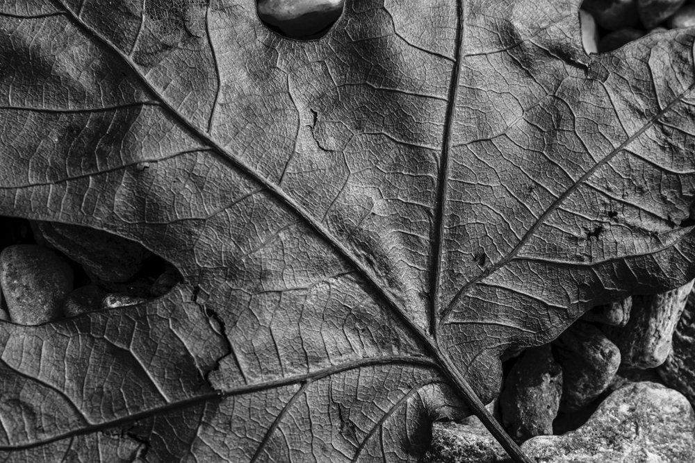 Photograph by antsoulikias