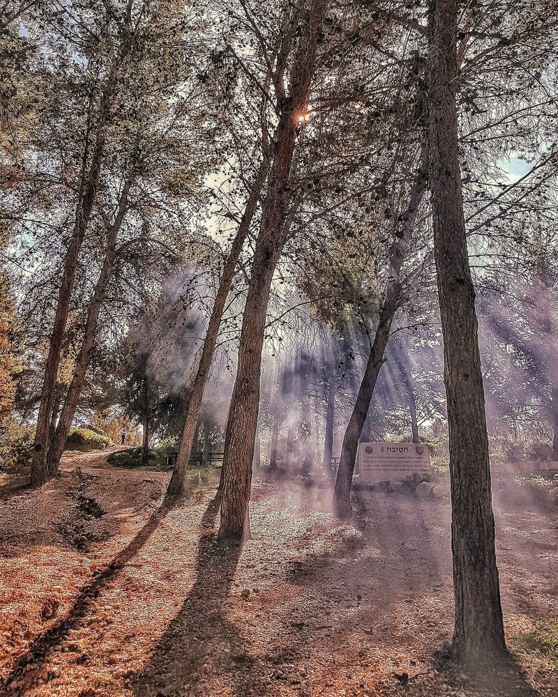 Photograph by Михаил Драйшпиц