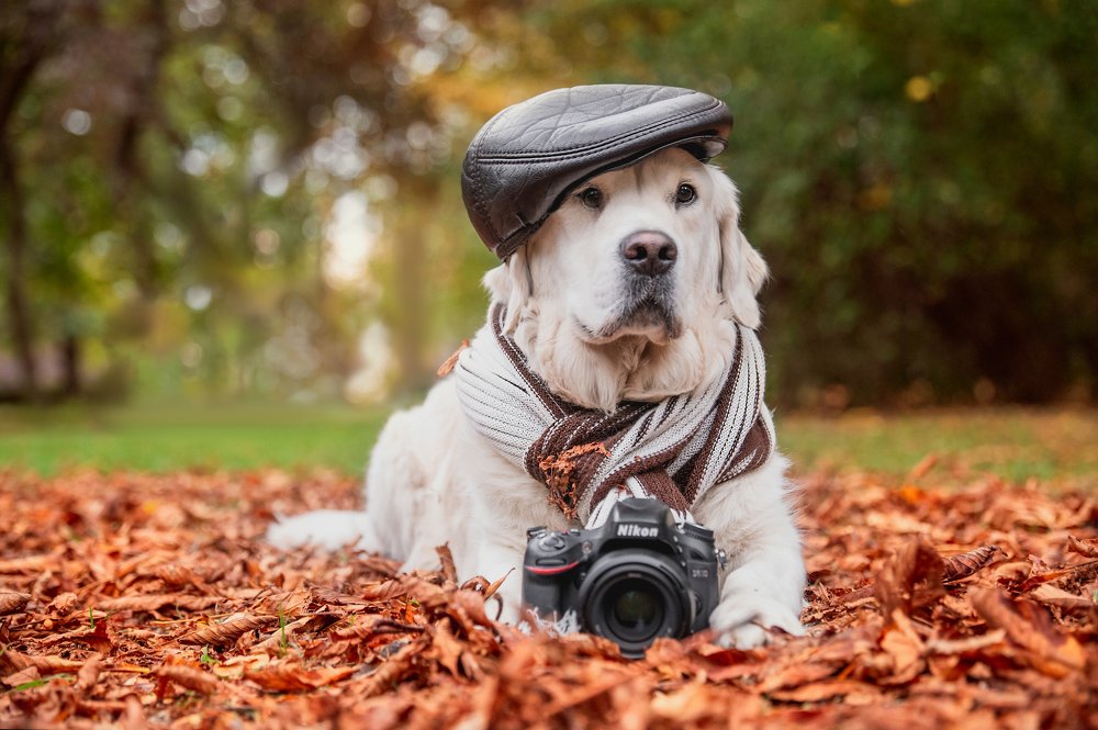 Photograph by Анастасия Мельник