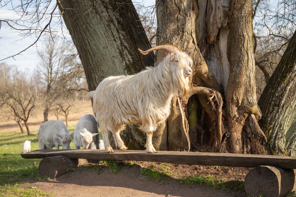 Photograph by Людмила Казак