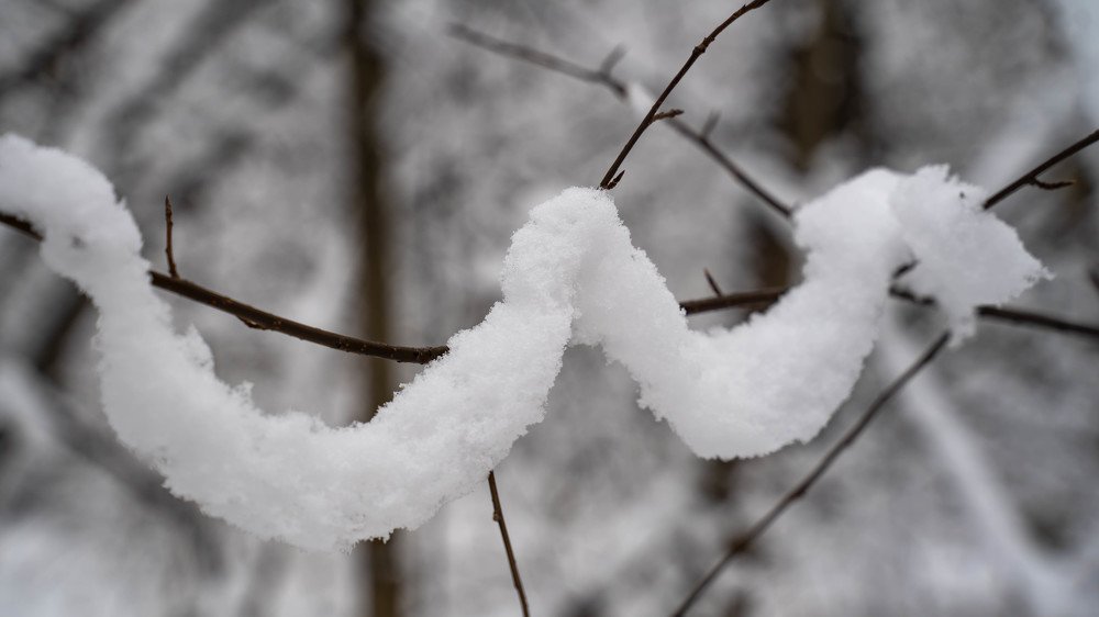 Photograph by Алексей Сень