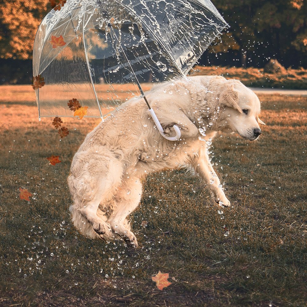 Photograph by Анастасия Мельник